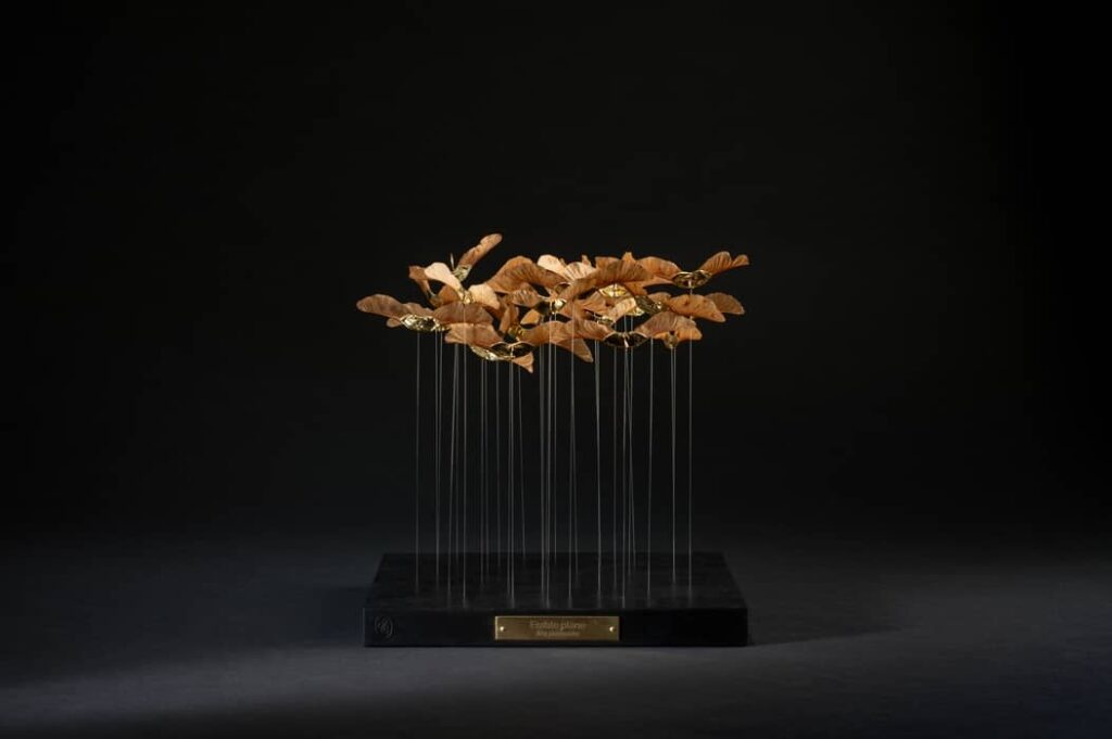 erable-plane-domaine-chaumont-sophie-blanc-doreuse