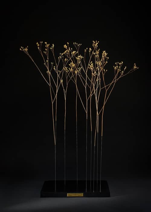 lampsane-domaine-chaumont-sophie-blanc-doreuse