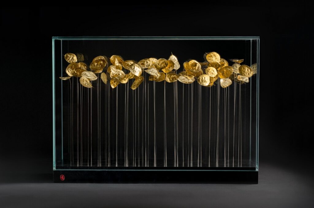 # Rêver le ciel : cloisons de monnaie-du-pape dorées à la feuille d’or