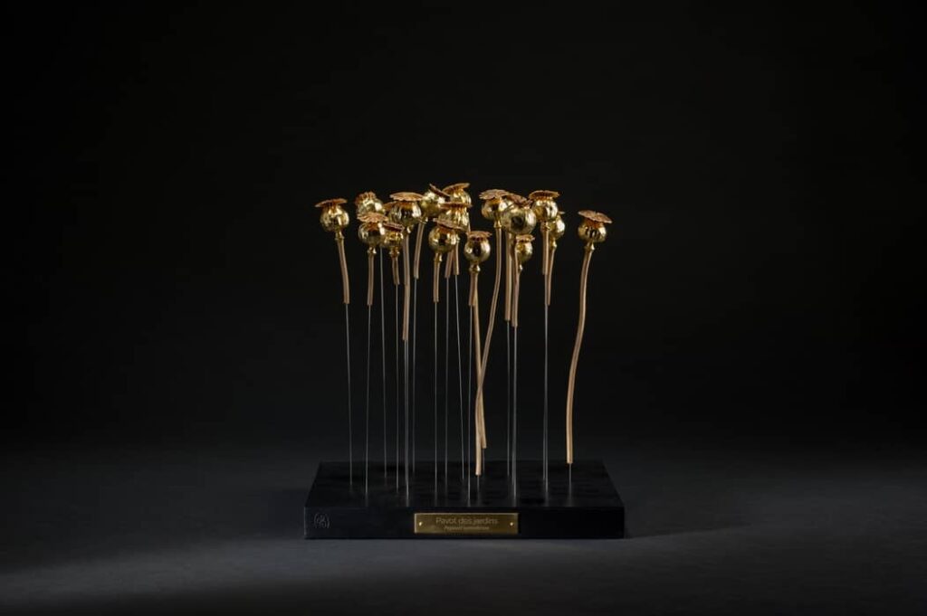 pavot-domaine-chaumont-sophie-blanc-doreuse