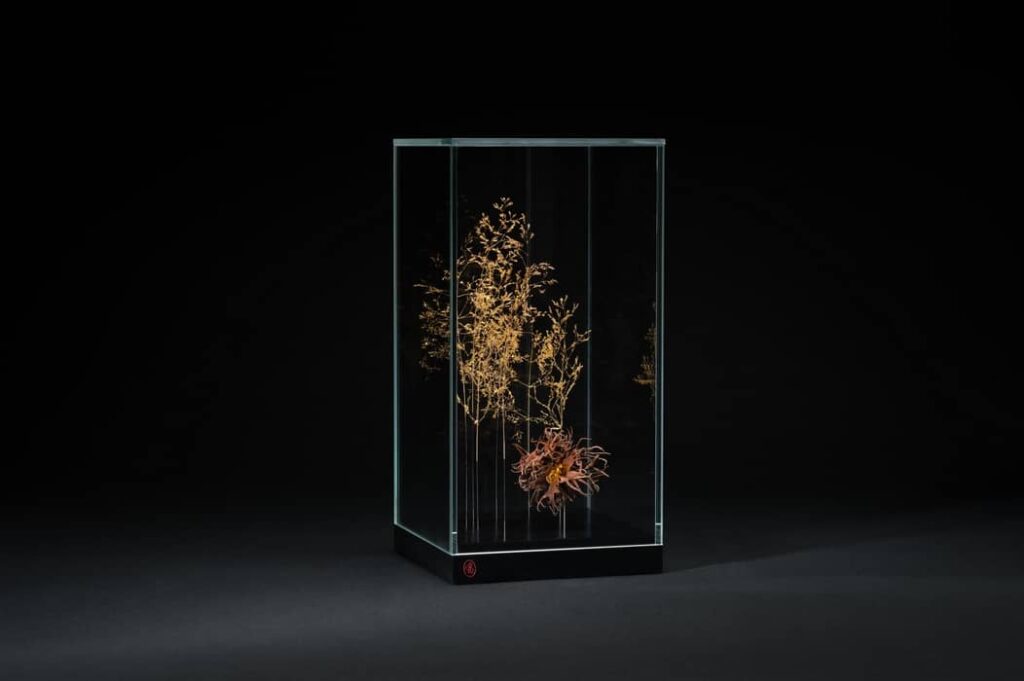 # À la source : Œuvre composée d'agrostis communes et de noisetier de Byzance