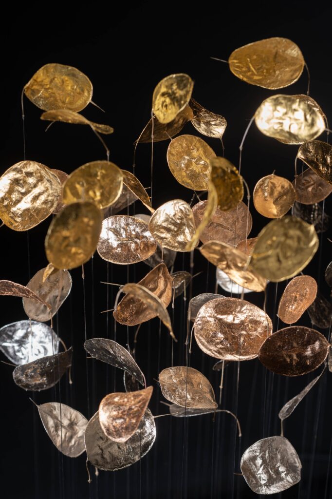 # Ciel d'orage : Monnaie-du-pape (Lunaria annua) avec des ors différents (supérieur, rouge, rose, moon, caplain)