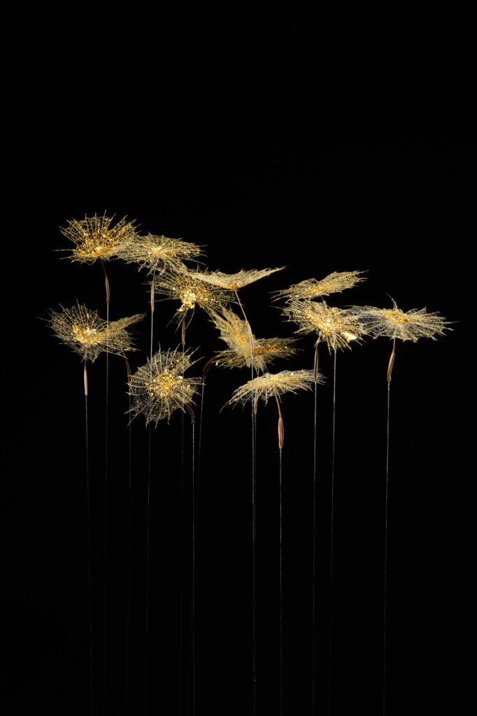 legeres-aigrettes-detail-sophie-blanc-doreuse