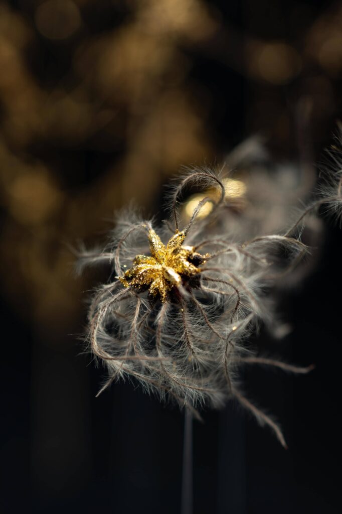 # Pensée vaporeuse : Œuvre composée d'agrostis, de fleurs de clématite des haies et de bourse à pasteur