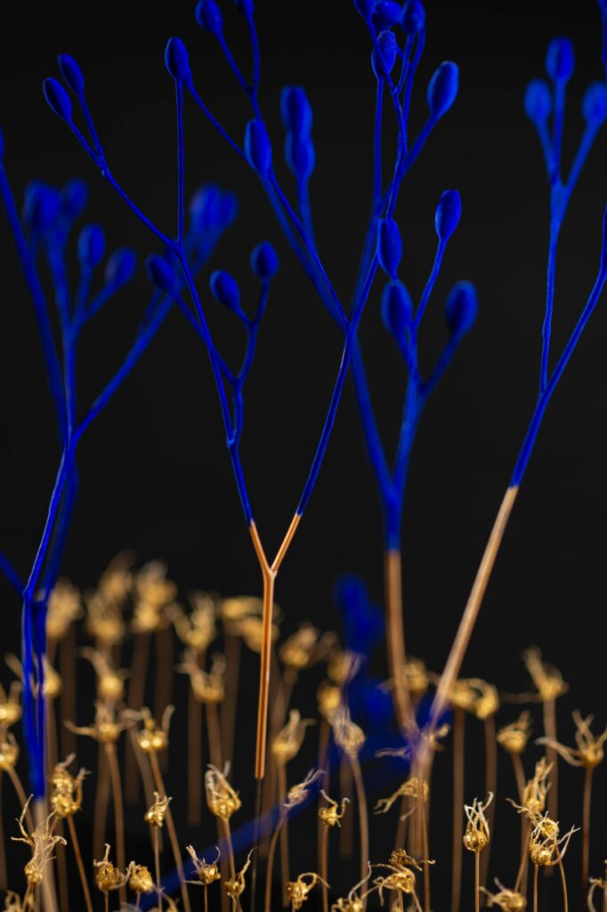 reverie-sur-la-planeze-sophie-blanc-doreuse-detail-1