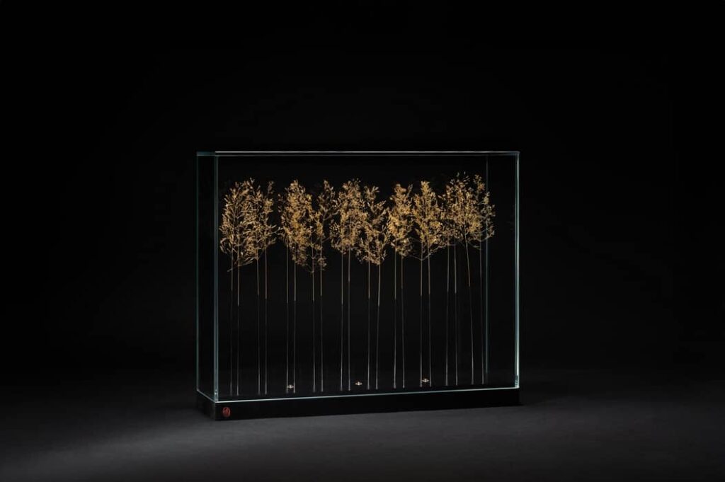 S'allonger dans les herbes : agrostides dorées à la feuille d'or