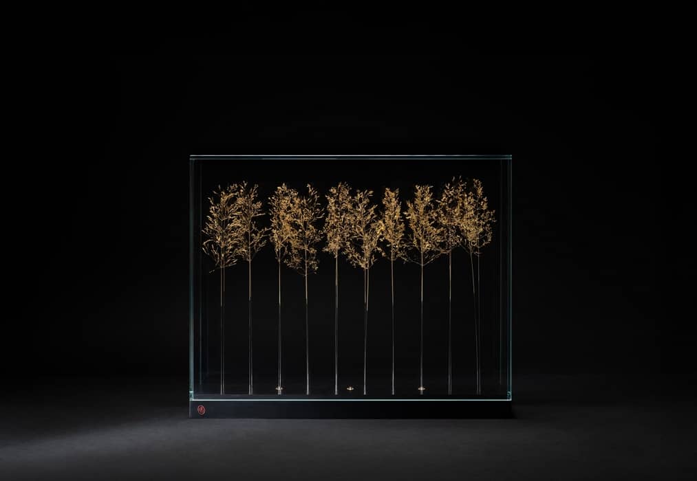 S'allonger dans les herbes : agrostides dorées à la feuille d'or