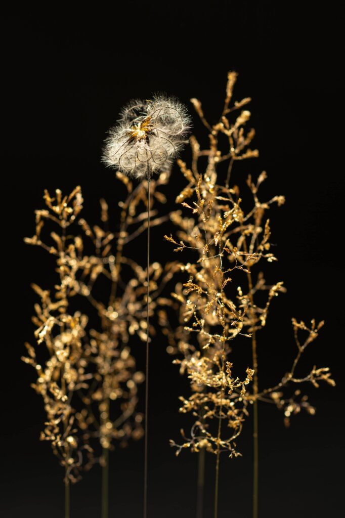 tendre-pensee-detail-sophie-blanc-doreuse