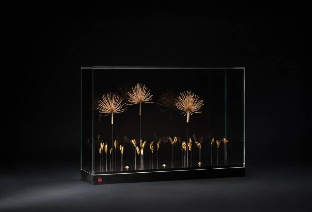 # Une fleur au soleil : inflorescences et fruits d’agapanthes (Agapanthus campanulatus)