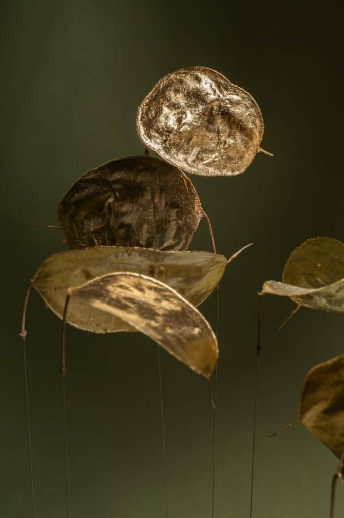 aimer-sous-la-pluie-sophie-blanc-doreuse-vert-detail3