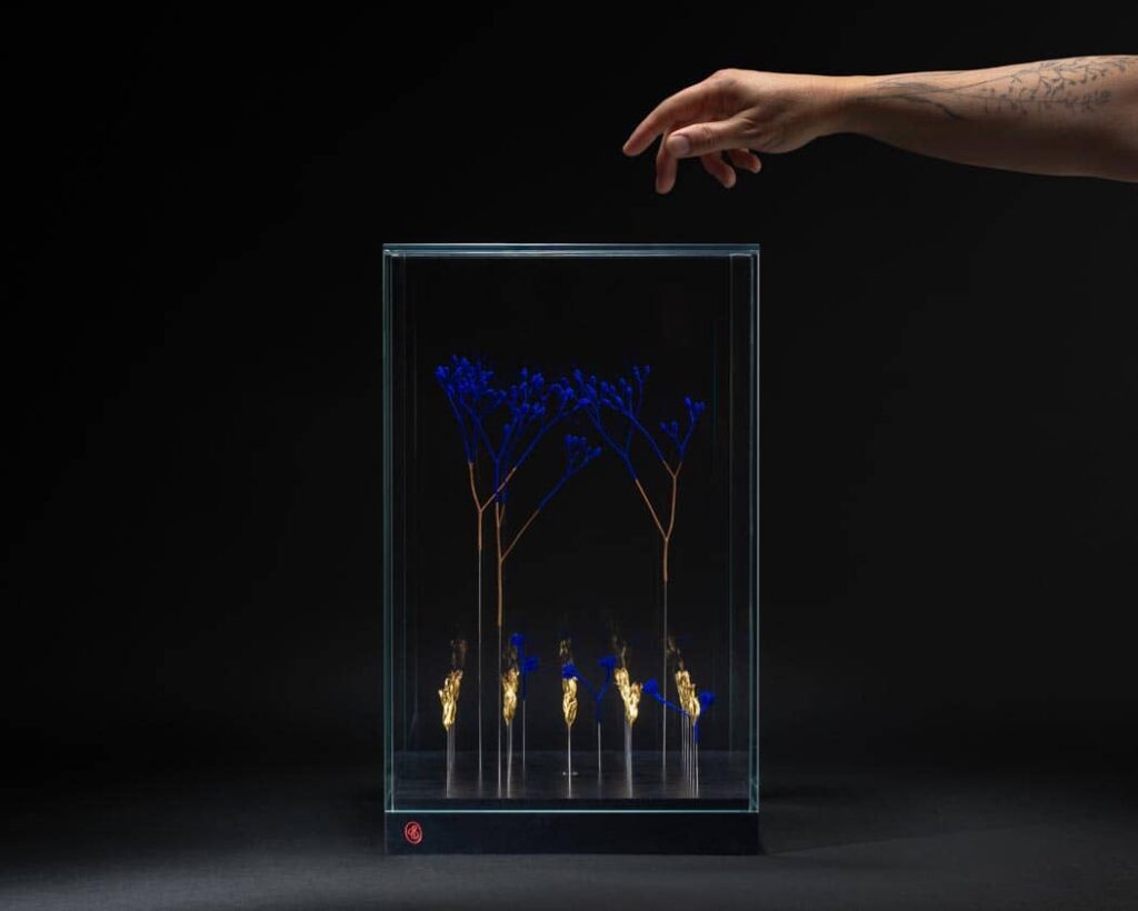 architecture-du-silence-sophie-blanc-doreuse-main