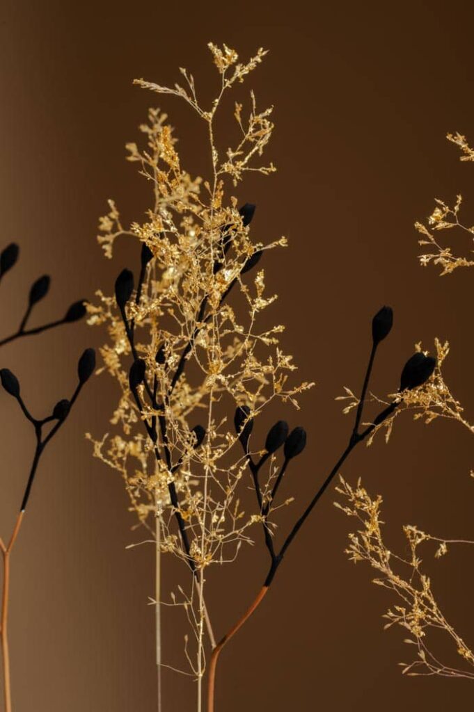 aux-sources-du-silence-sophie-blanc-doreuse-beige-2-beige-detail5