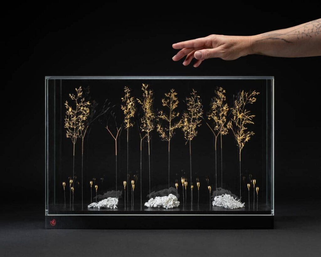 aux-sources-du-silence-sophie-blanc-doreuse-main