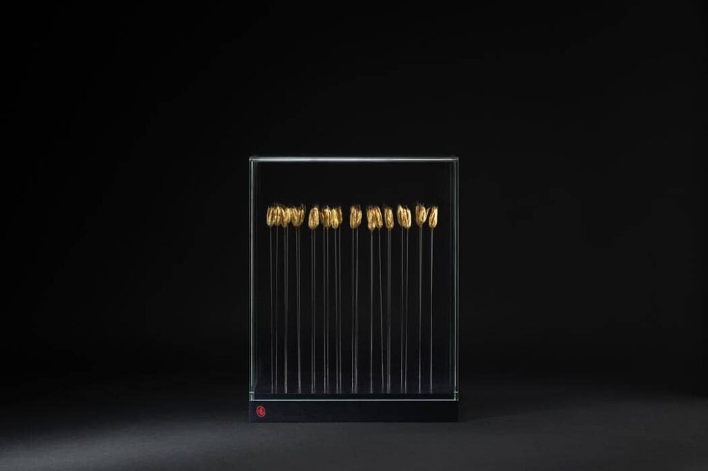 dans-le-jardin-de-ma-grand-mere-sophie-blanc-doreuse