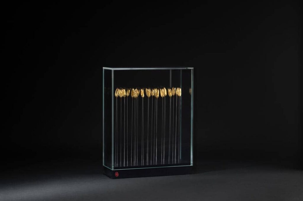 dans-le-jardin-de-ma-grand-mere-sophie-blanc-doreuse-2