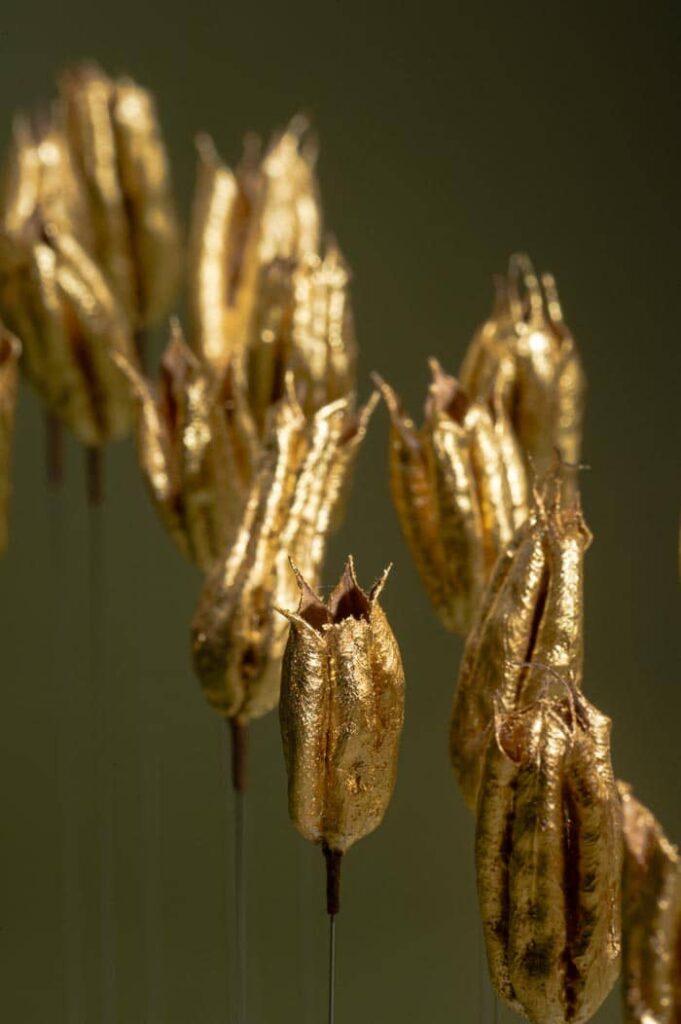 dans-le-jardin-de-ma-grand-mere-sophie-blanc-doreuse-vert-detail3