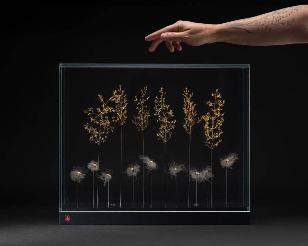 les-feux-follets-de-la-pensee-sophie-blanc-doreuse-main