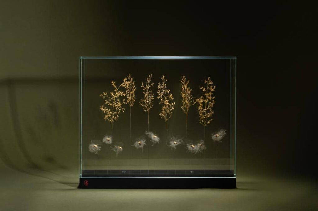 les-feux-follets-de-la-pensee-sophie-blanc-doreuse-vert