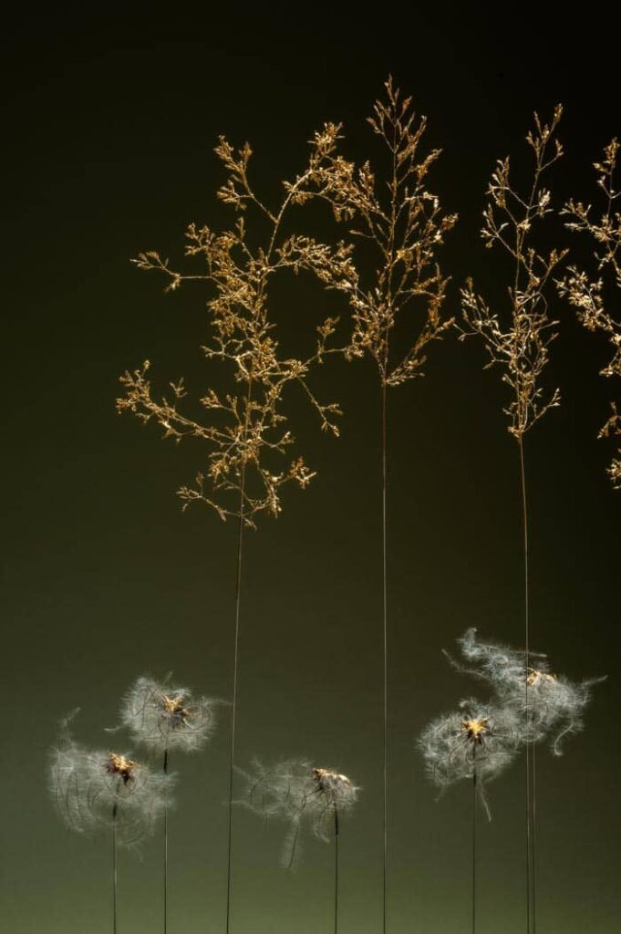 les-feux-follets-de-la-pensee-sophie-blanc-doreuse-vert-detail