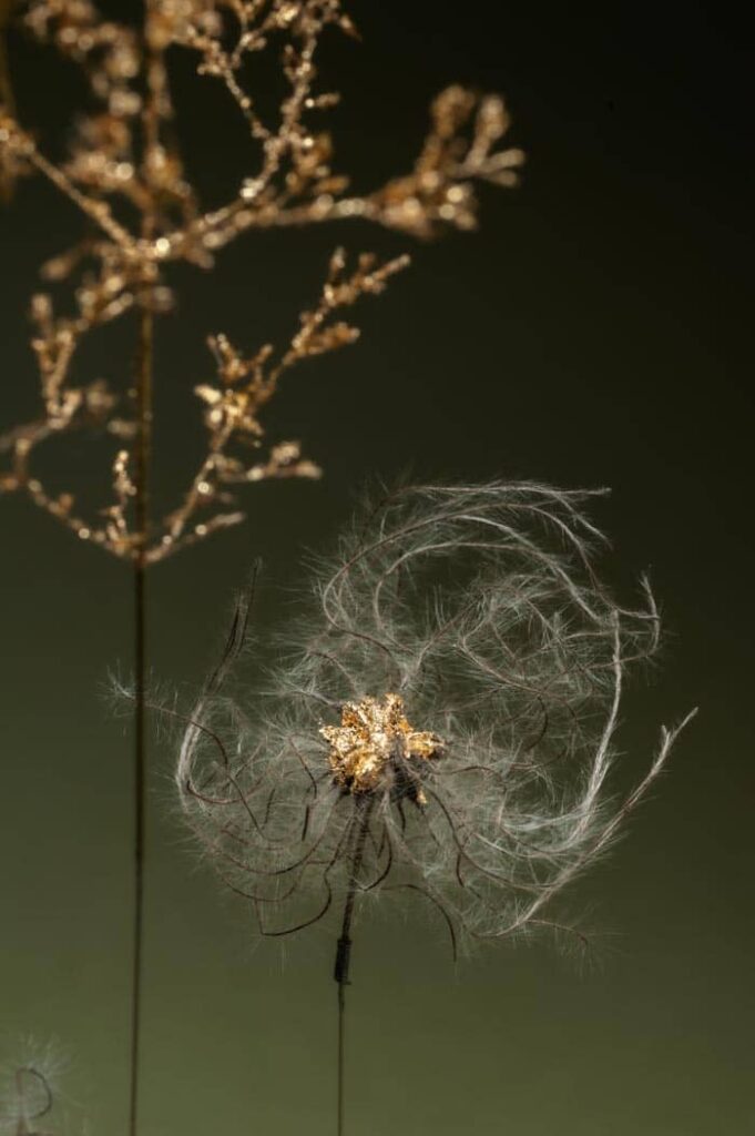 les-feux-follets-de-la-pensee-sophie-blanc-doreuse-vert-detail2