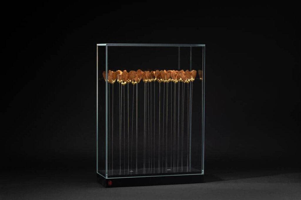 une-danse-dans-le-jardin-sophie-blanc-doreuse-2