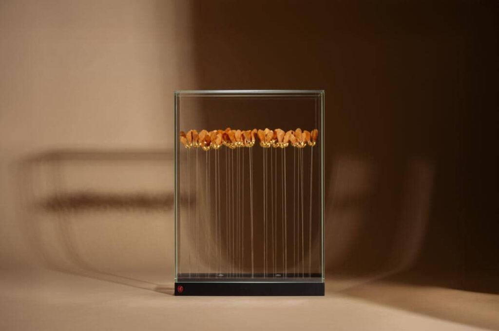 une-danse-dans-le-jardin-sophie-blanc-doreuse-beige