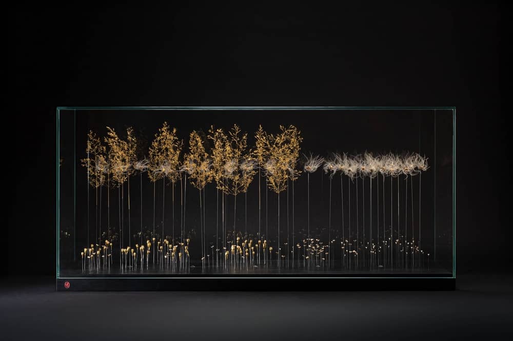 s-ouvrir-a-l-amour-sophie-blanc-doreuse