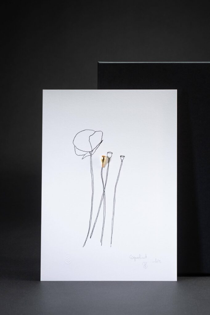 dessin-coquelicot-sophie-blanc-doreuse