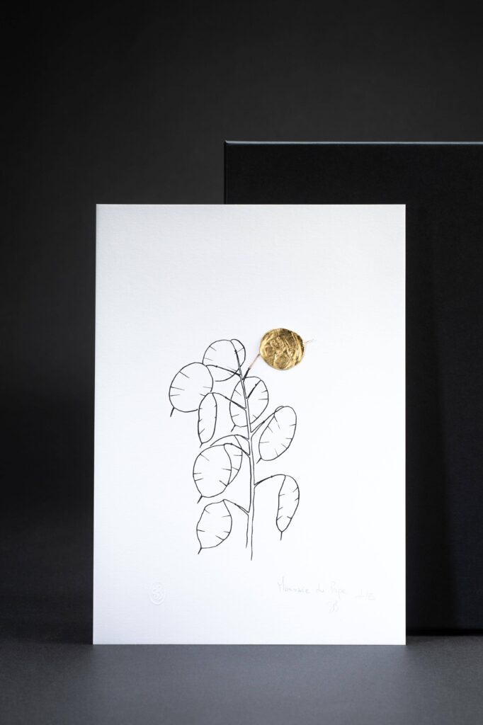 dessin-lunaire-sophie-blanc-doreuse