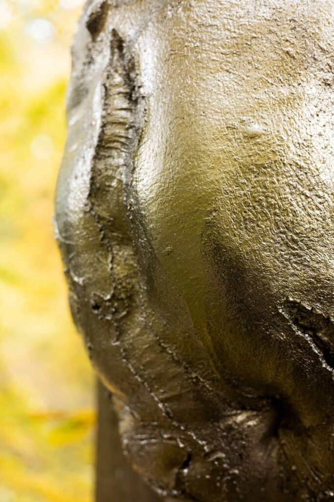 entre-terre-et-ciel-18-sophie-blanc-doreuse