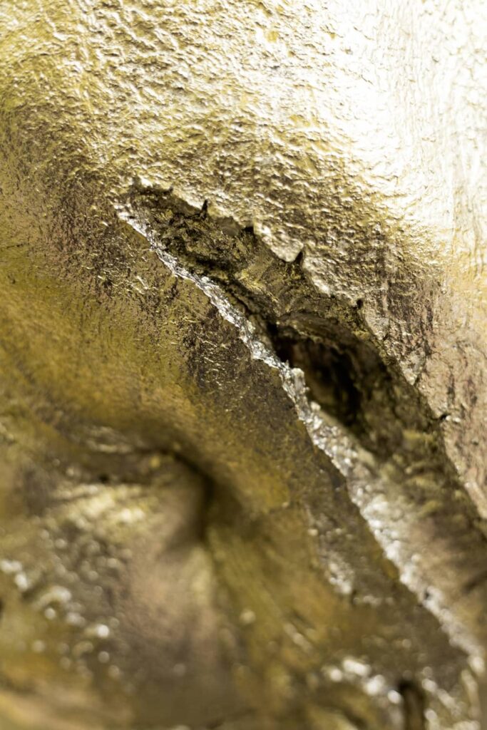 entre-terre-et-ciel-19-sophie-blanc-doreuse