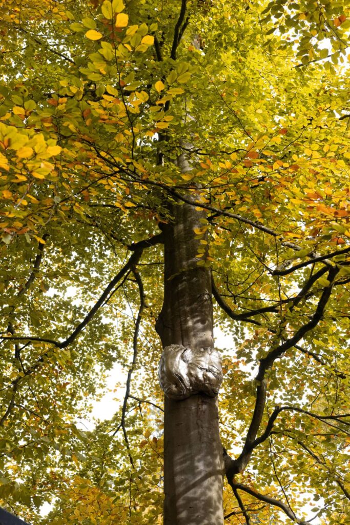 entre-terre-et-ciel-30-sophie-blanc-doreuse