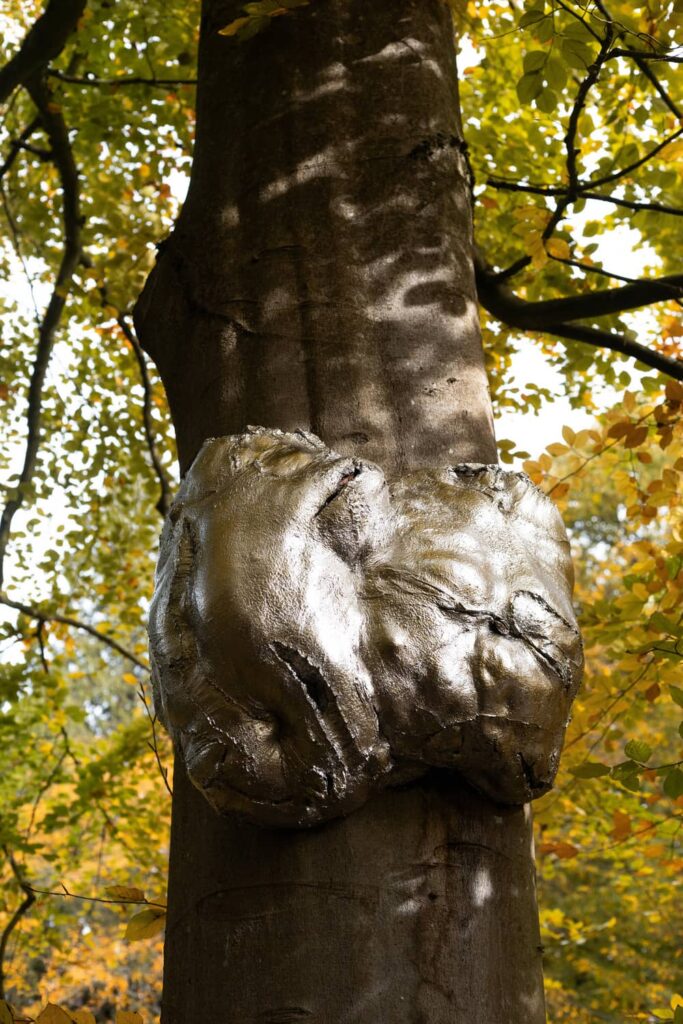 entre-terre-et-ciel-33-sophie-blanc-doreuse