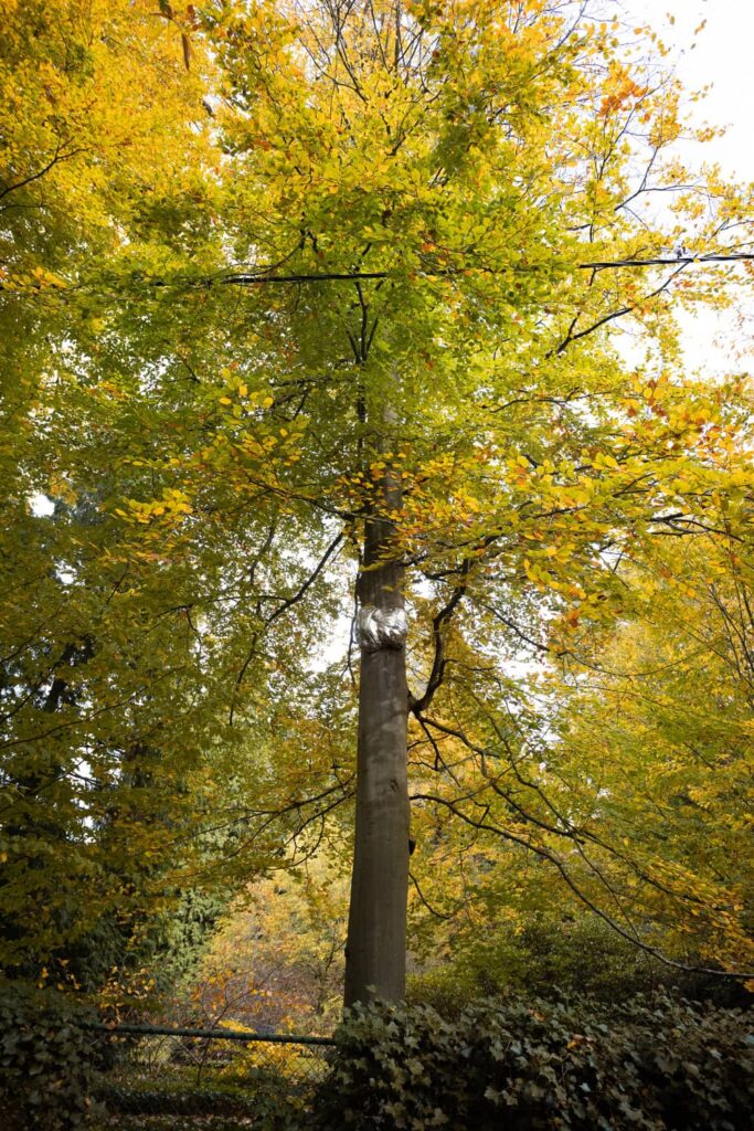 entre-terre-et-ciel-35-sophie-blanc-doreuse