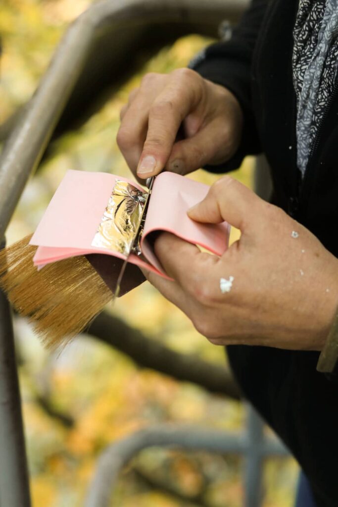 entre-terre-et-ciel-4-sophie-blanc-doreuse