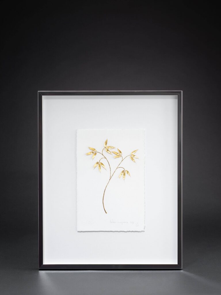 herbier-imaginaire-1-sophie-blanc-doreuse