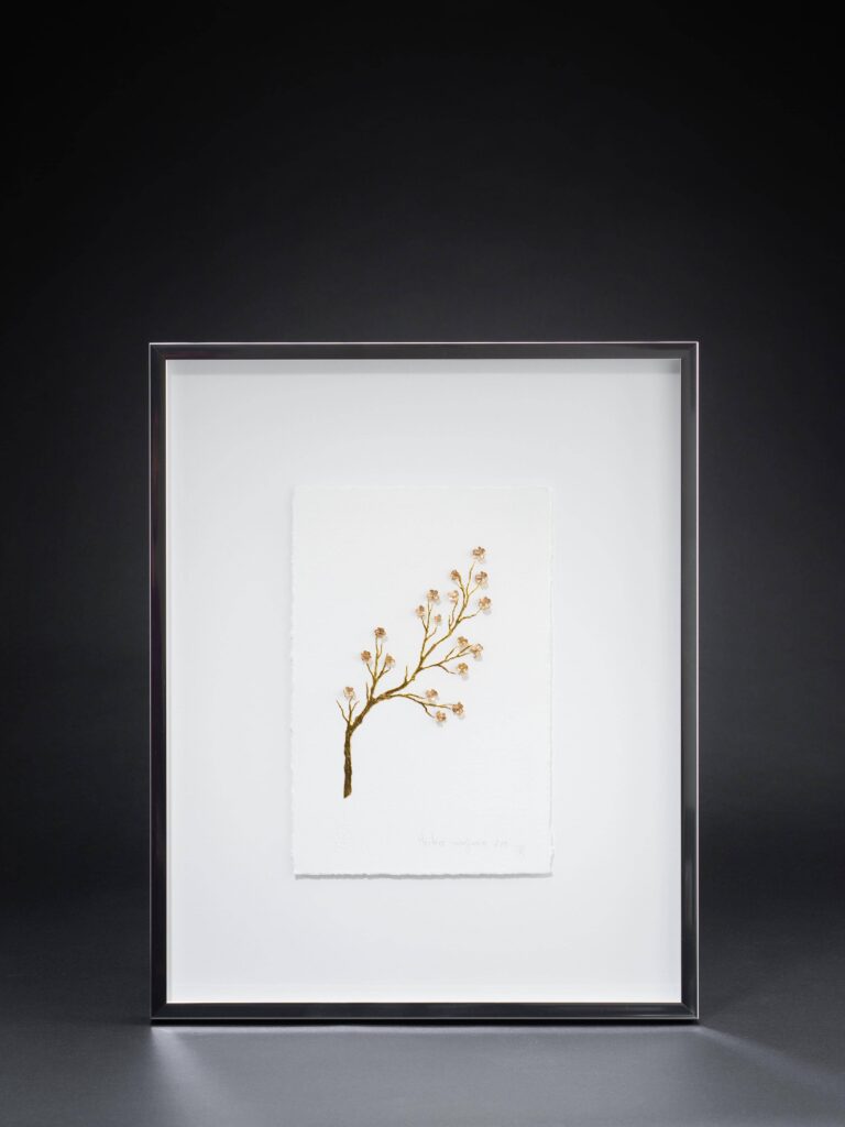 herbier-imaginaire-2-sophie-blanc-doreuse