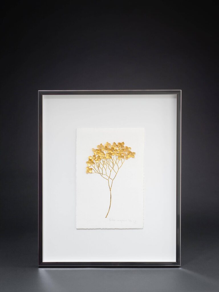 herbier-imaginaire-3-sophie-blanc-doreuse