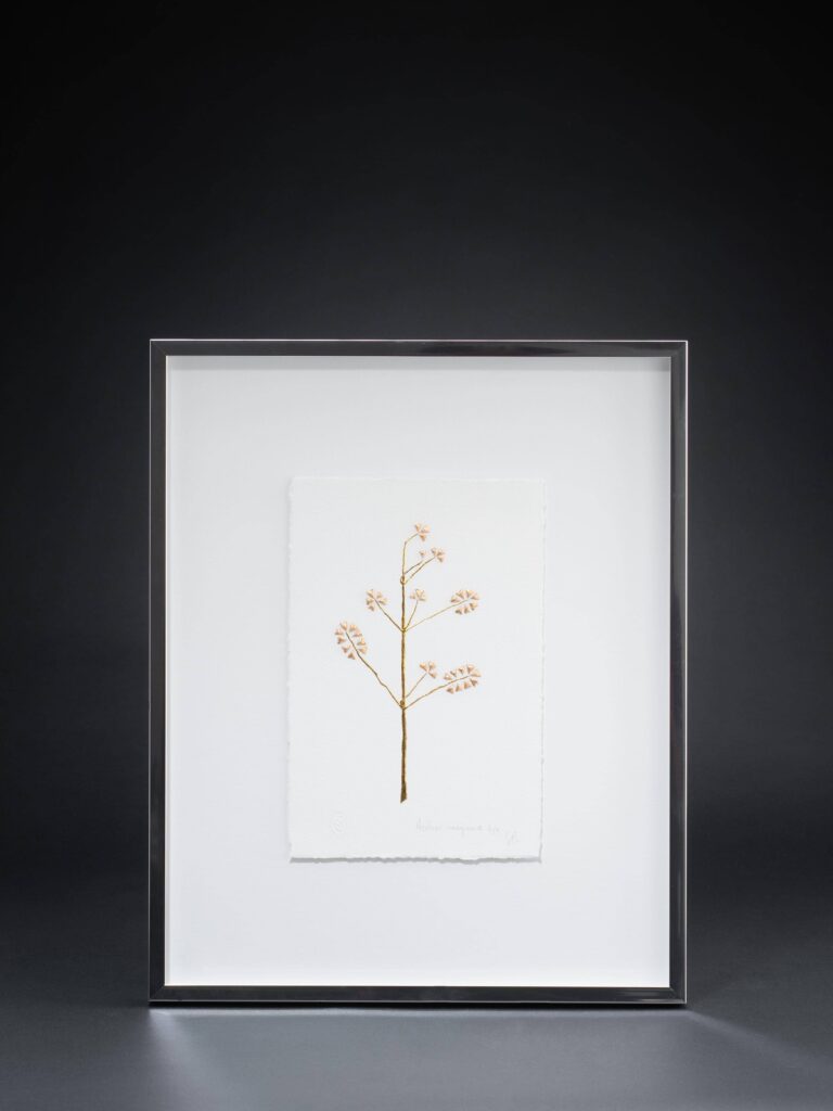 herbier-imaginaire-4-sophie-blanc-doreuse