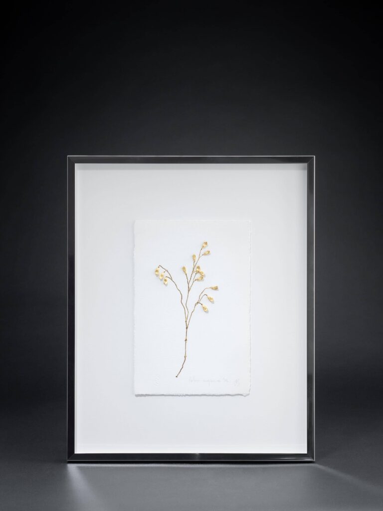 herbier-imaginaire-5-sophie-blanc-doreuse