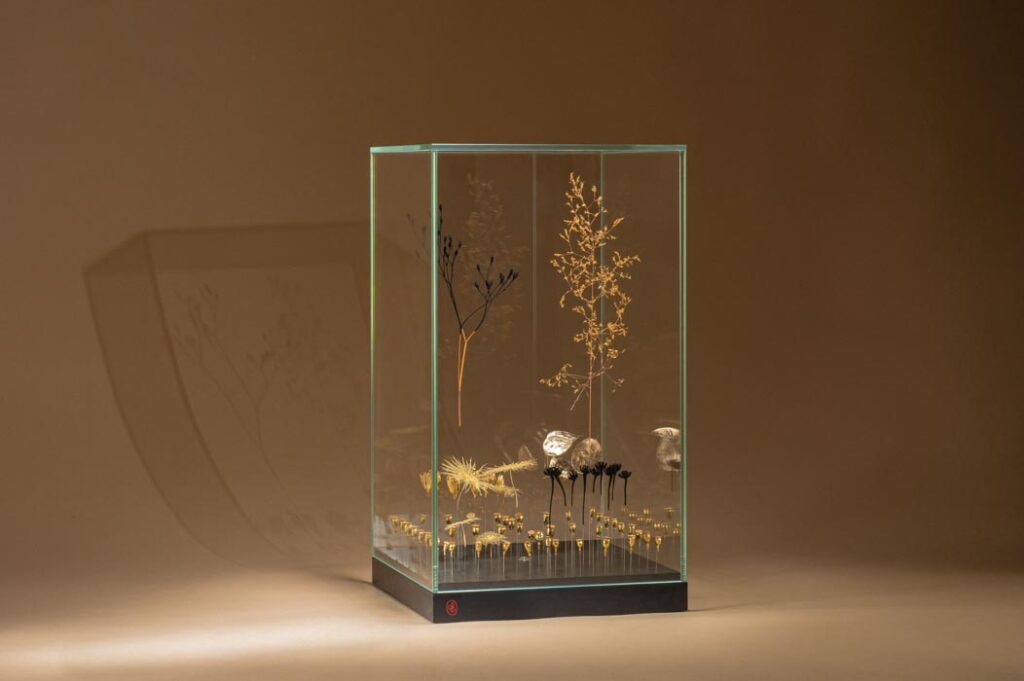 l-illusion-de-l-ordre-2-sophie-blanc-doreuse