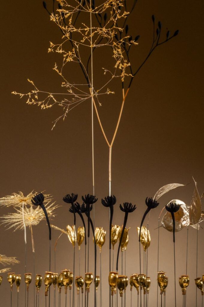 l-illusion-de-l-ordre-d1-sophie-blanc-doreuse