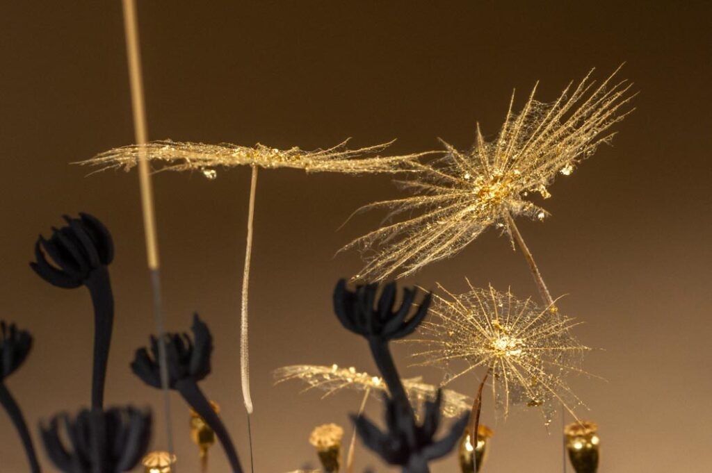 l-illusion-de-l-ordre-d12-sophie-blanc-doreuse