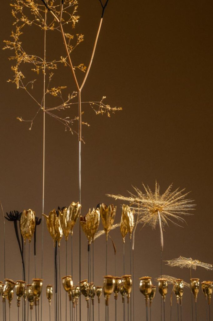 l-illusion-de-l-ordre-d3-sophie-blanc-doreuse