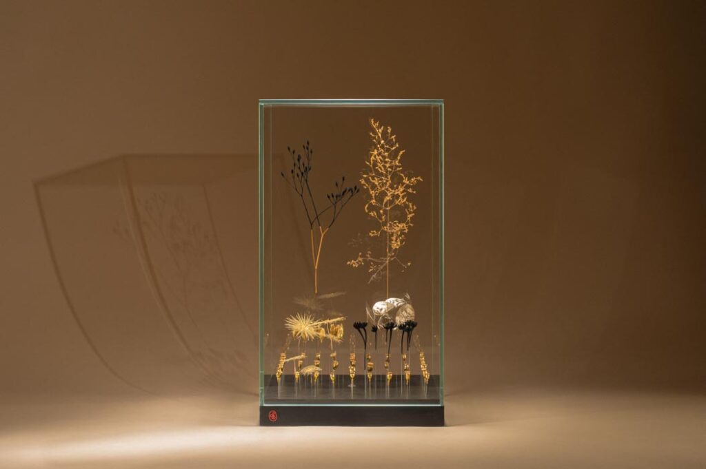 l-illusion-de-l-ordre-sophie-blanc-doreuse