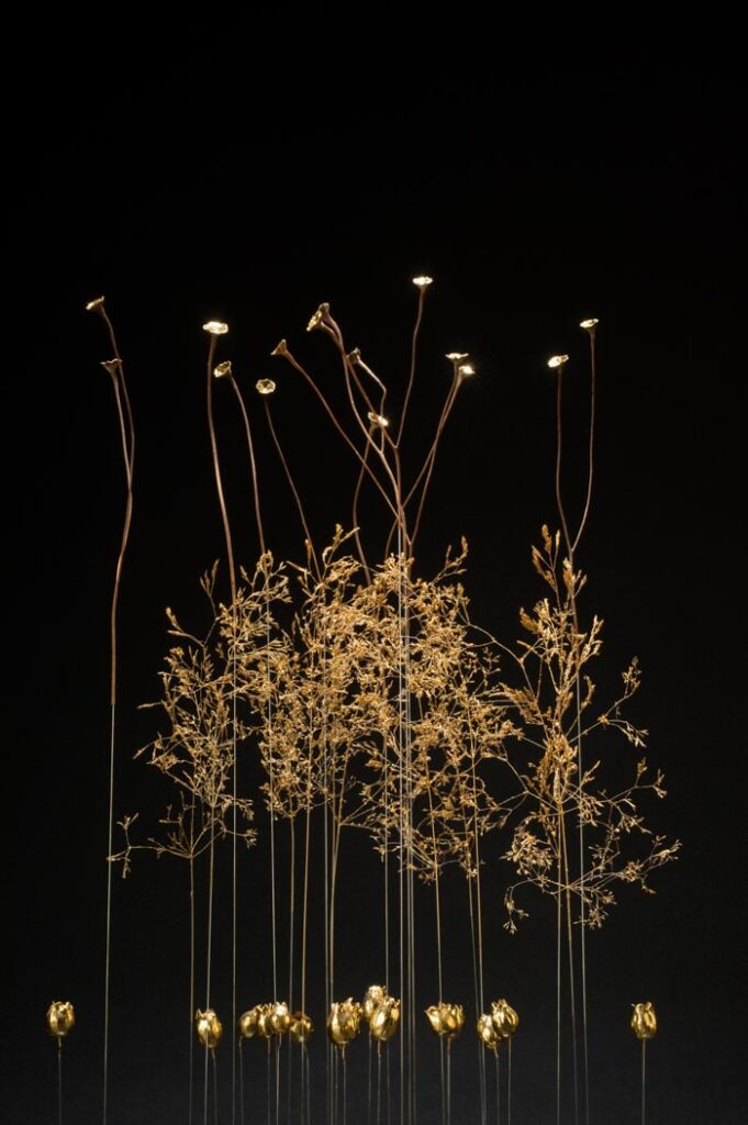 les-ames-celestes-d1-sophie-blanc-doreuse