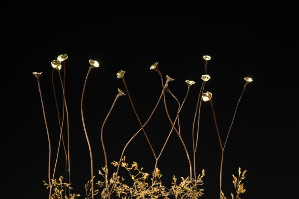 les-ames-celestes-d4-sophie-blanc-doreuse