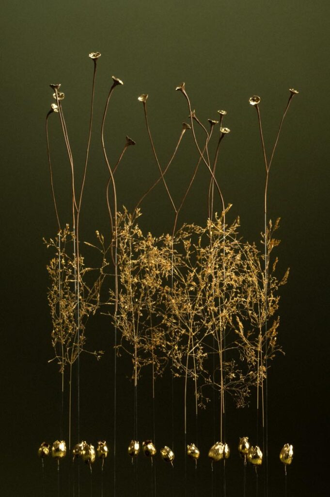 les-ames-celestes-vert-d2-sophie-blanc-doreuse