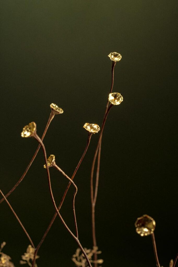 les-ames-celestes-vert-d6-sophie-blanc-doreuse