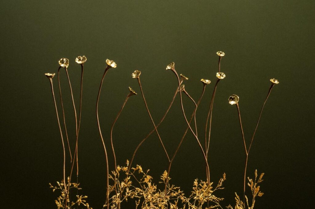 les-ames-celestes-vert-d7-sophie-blanc-doreuse